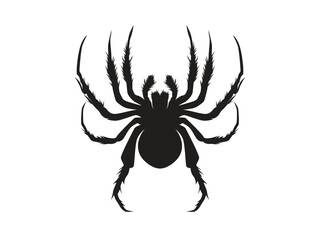 Obraz premium spider silhouette, black spider, black spider vector illustration