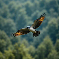 Selective focus shot of a beautiful bird soaring high above a lush forest, capturing grace, freedom.