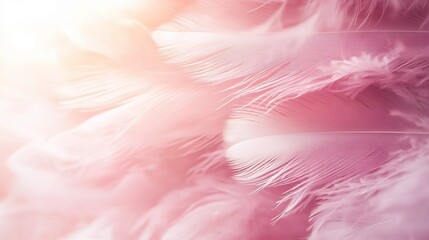 Obraz premium Abstract Close-Up of Pink Feathers on Soft Light Background, Delicate Pastel Texture with Dreamy Aesthetic and High-Detail Minimalist Composition.