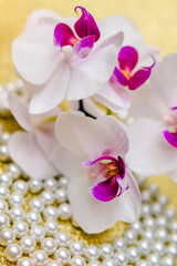 A branch of white orchids on a shiny gold background
