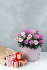 Gift Boxes and Flower Arrangement Still Life