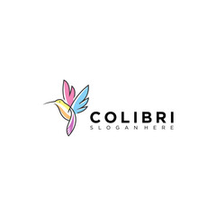 humming bird logo creative design template color flat