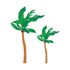 Make a Professional Tree Coconut Vector Illustration