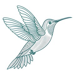 Obraz premium Minimalist Vector of a Single Line Forming a Hummingbird in Flight, minimal line art, hummingbird vector, one-line illustration, elegant animal drawing, minimalist wildlife, elegance, surreal, smooth