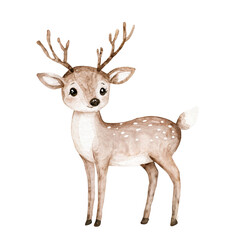 Graceful watercolor deer in soft pastel tones with delicate antlers. Perfect for nursery decor, woodland-themed art, children’s books, or nature-inspired illustrations
