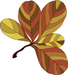 Hand-drawn autumn colored fall leaf isolated on white background. Flat line style vector illustration.