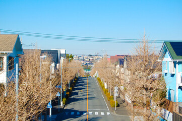 晴れた日の住宅街と道路