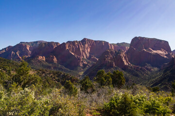 Scenic views from the Kolab Canyon area of Zion National Park in Utah