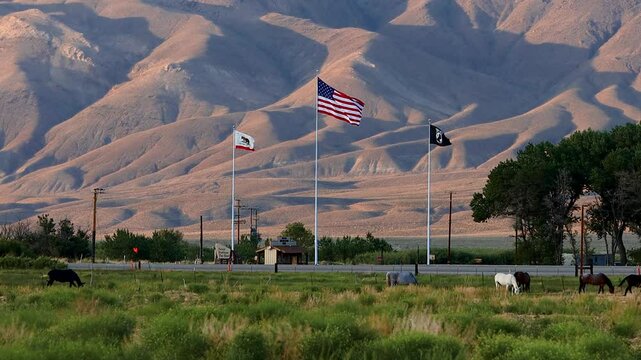 American Flag, California Flag, and P.O.W. Flag Blowing in the Wind
