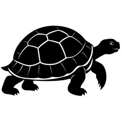 Tortoise walking slowly silhouette vector illustration 