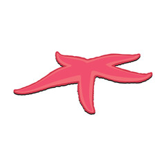 Make a Professional Starfish Vector Illustration