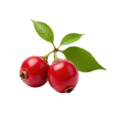 Elegant pair of glossy red hawthorn berries with fresh green leaves, isolated on transparent background. nature, close-up, vivid colors, organic produce.