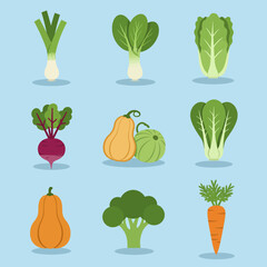 A vibrant, isolated vector illustration set of healthy vegetables like carrot, tomato, beetroot, broccoli, and many more