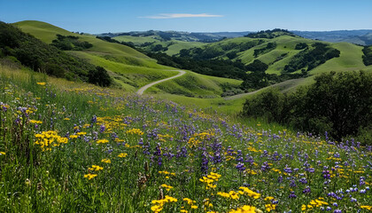 Obraz premium Scenic Winding Road Through Rolling Hills and Wildflowers, Representing Journeys and Outdoor Adventure, Ideal for Travel and Tourism Campaigns