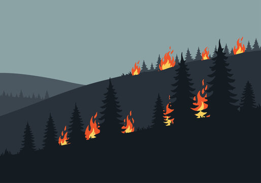 Dramatic hillside fire scene with multiple flames consuming pine trees Stylized illustration in muted tones Evokes sense of wildness and danger Suitable for nature environmental or warning themes
