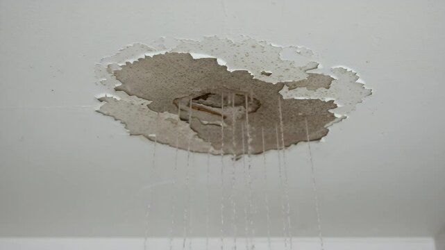 Damaged ceiling with water stains and dripping water. Ceiling damage shows significant water damage and plaster disintegration. Water leak caused extensive ceiling damage requiring repair.