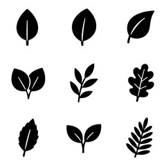 Fototapeta premium A Set of Stylish Plant Leaves 9 Icons Set Nature Graphic Design Digital Illustration Aesthetic Visuals Flat Style. Transparent background
