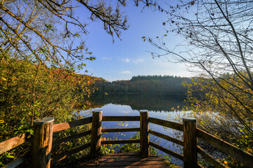 View of the autumn landscape at the Holzmaar near Gillenfeld. Idyllic nature by the lake in the Volcanic Eifel region of Rhineland-Palatinate.
