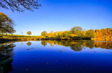 View of the autumn landscape at the Holzmaar near Gillenfeld. Idyllic nature by the lake in the...