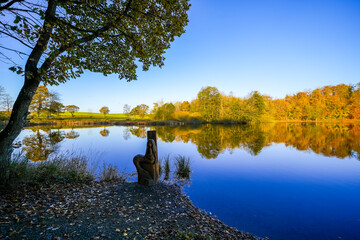 View of the autumn landscape at the Holzmaar near Gillenfeld. Idyllic nature by the lake in the Volcanic Eifel region of Rhineland-Palatinate.

