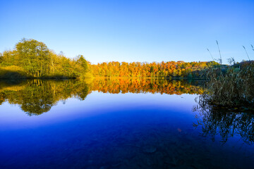 View of the autumn landscape at the Holzmaar near Gillenfeld. Idyllic nature by the lake in the Volcanic Eifel region of Rhineland-Palatinate.
