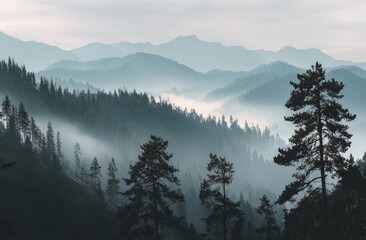 Misty Mountain Range with Pine Trees in Atmospheric Landscape