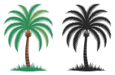 Obraz premium Palm trees black and color illustration 