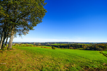 View of the landscape near the Oleftalsperre dam near Hellenthal. Nature near the Vulkaneifel National Park.
