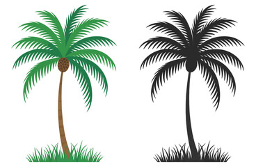 Obraz premium Vector palm trees mix of color and silhouette