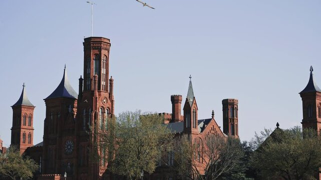 Historical Castle Architecture Among Trees