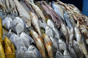 A diverse array of fresh fish displayed at a market stall.