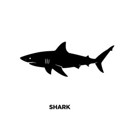 Black Silhouette of a Shark Swimming on a White Background