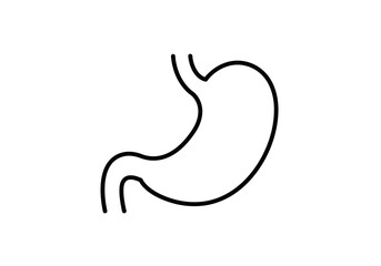 Minimalist Line Art Illustration of a Human Stomach Anatomy