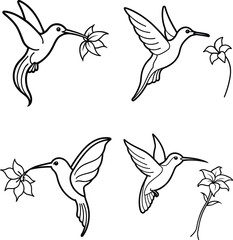  Hummingbird feeding on a flower line art set.