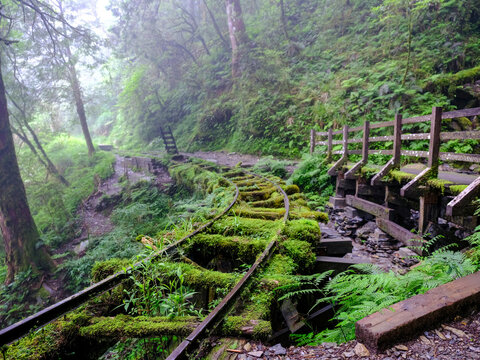 Must-visit hiking trails in Taiwan. Many hiking trails suitable for hikers of all levels. Self-guided trails with guided tours, visitors can gain a deeper understanding of Taiwan's forest ecology.