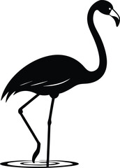 Obraz premium Flamingo in Shallow water silhouette vector illustration