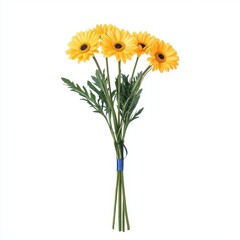 A bouquet of yellow daisies, isolate on white background.