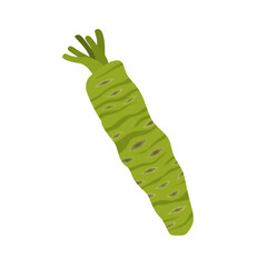 fresh wasabi root flat design vector illustration isolated on white background. Can use for asian food, spice spicy, asia herb, japan, vegetable. raw wasabi for japanese food Condiments for sushi