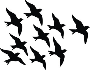 Flying birds in formation silhouette design illustration.