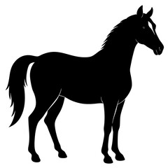 horse silhouette isolated on white
