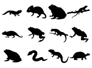 Animal Silhouette Set of Amphibians and Reptiles in Black
