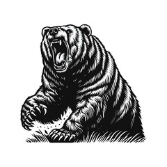 Bear Roaring Engraving black white