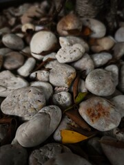 pebbles on the beach