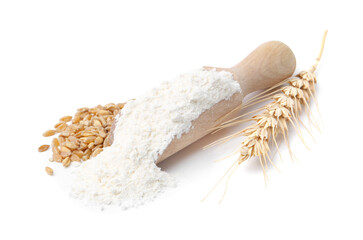 Wheat flour, grains and spike on white background