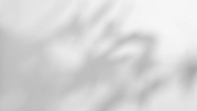 plant leaves sunlight natural shadow overlay on white wall background	
