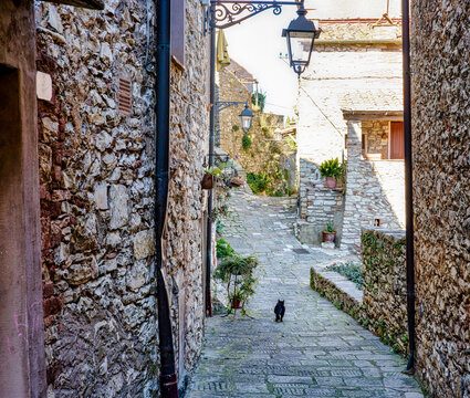 Fototapeta Town images of the medieval village of Sassetta Livorno Tuscany Italy