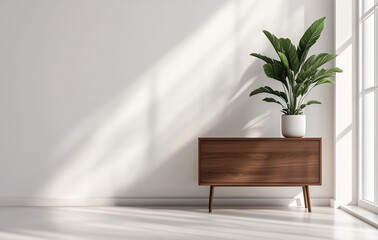White room interior with a wooden cabinet and a potted plant on a white floor near a window
