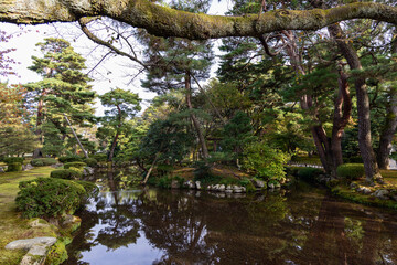 Reflections of leaning pines and dense foliage appear on the still surface of a stream in Kenrokuen Garden, framed by mossy banks and shaded branches overhead