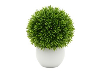 Green artificial plant in white pot isolated on white background