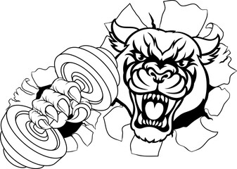 Panther Jaguar Leopard Weight Lifting Gym Mascot